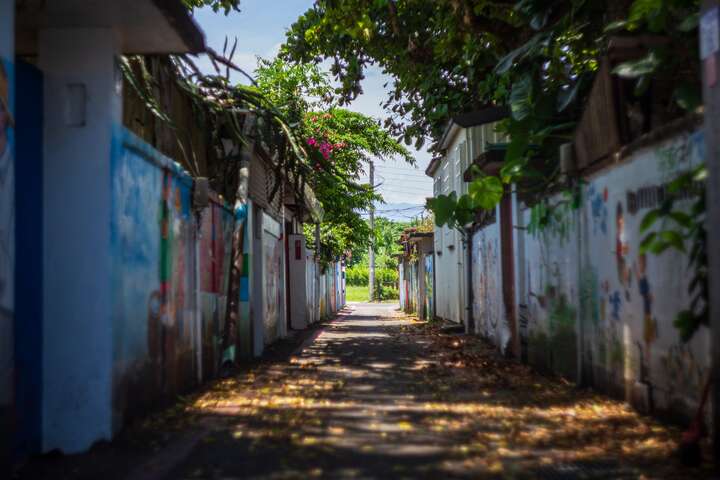 介壽新村